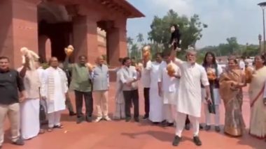 '56 Inch Ka Chhota Bandar': Opposition MPs Protest Outside Parliament With Toy Monkey Against PM Narendra Modi (Video)