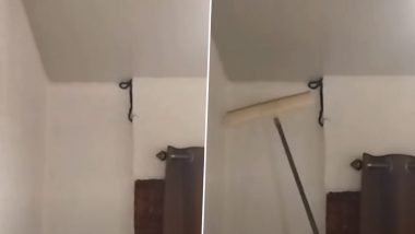Lonavala Nostra Villa Controversy: Staff Kills Snake Inside Room, Family Alleges Threats; Video Surfaces