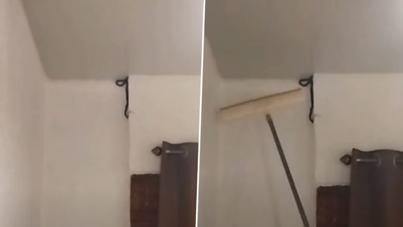 Lonavala Nostra Villa Controversy: Staff Kills Snake Inside Room, Family Alleges Threats; Video Surfaces
