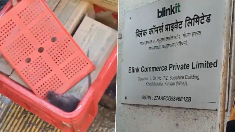 Kalyan: Rat Allegedly Spotted Inside Blinkit Ice Cream Freezer Amid Maharashtra FDA Crackdown (Video)
