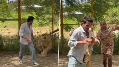 Was Kiran Raj Attacked by Lion in Viral Video? Kannada Actor Clarifies