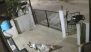Karnataka: 91-Year-Old Woman Dies After Monkey Pushes Her Outside Home, CCTV Captures Attack