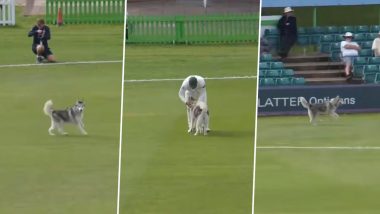 Husky Stops Play! Dog Invades Field at Grace Road During County Championship 2026 Match