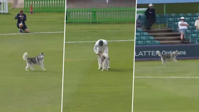 Husky Stops Play! Dog Invades Field at Grace Road During County Championship 2026 Match