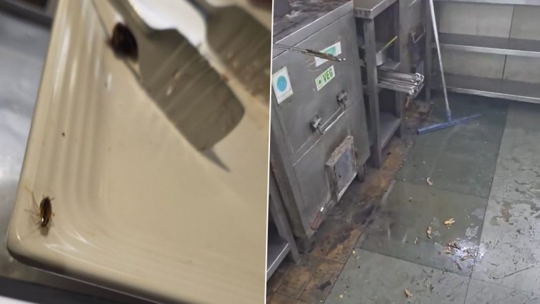 Cockroach on Dessert Plate: Customer Alleges Cockroaches Found at Barbeque Nation During Birthday Party in Virar