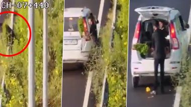 Baghpat Viral Video: Man Steals Plant From Delhi-Dehradun Expressway and Drives Off in Car Marked &lsquo;Police&rsquo;
