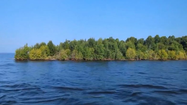 Canada Floating Island Mystery: Massive Island Spotted Before Vanishing From Williston Reservoir (Video)
