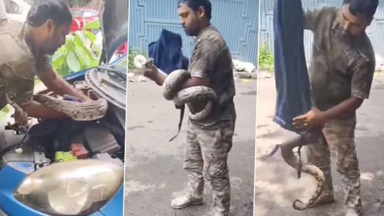 Mumbai Python Rescue Video: Snake Slithers Into Car Engine Near Dahisar Flyover, Rescuer Safely Removes Reptile