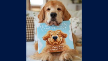 Tucker Budzyn Dog Dies at 8: Internet-Famous Golden Retriever Passes Away Due to Lymphoma Complications