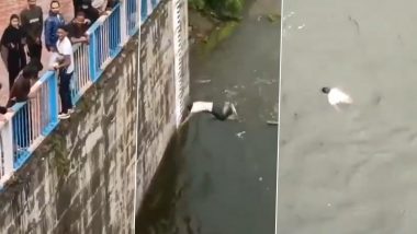 Jhansi Viral Video: Man Jumps From 30-ft Dam Wall for Instagram Reel, Breaks Both Legs