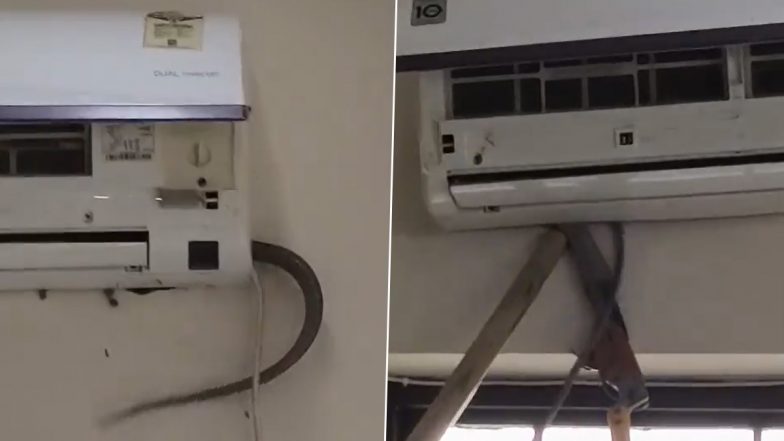 Sitapur Viral Video: 5-Foot Cobra Found Hiding Behind AC at BJP Office