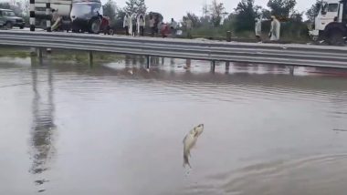 Ganga Expressway Turns Into &lsquo;Pond&rsquo; in UP&rsquo;s Unnao, Man &lsquo;Catches Fish&rsquo; (Video)