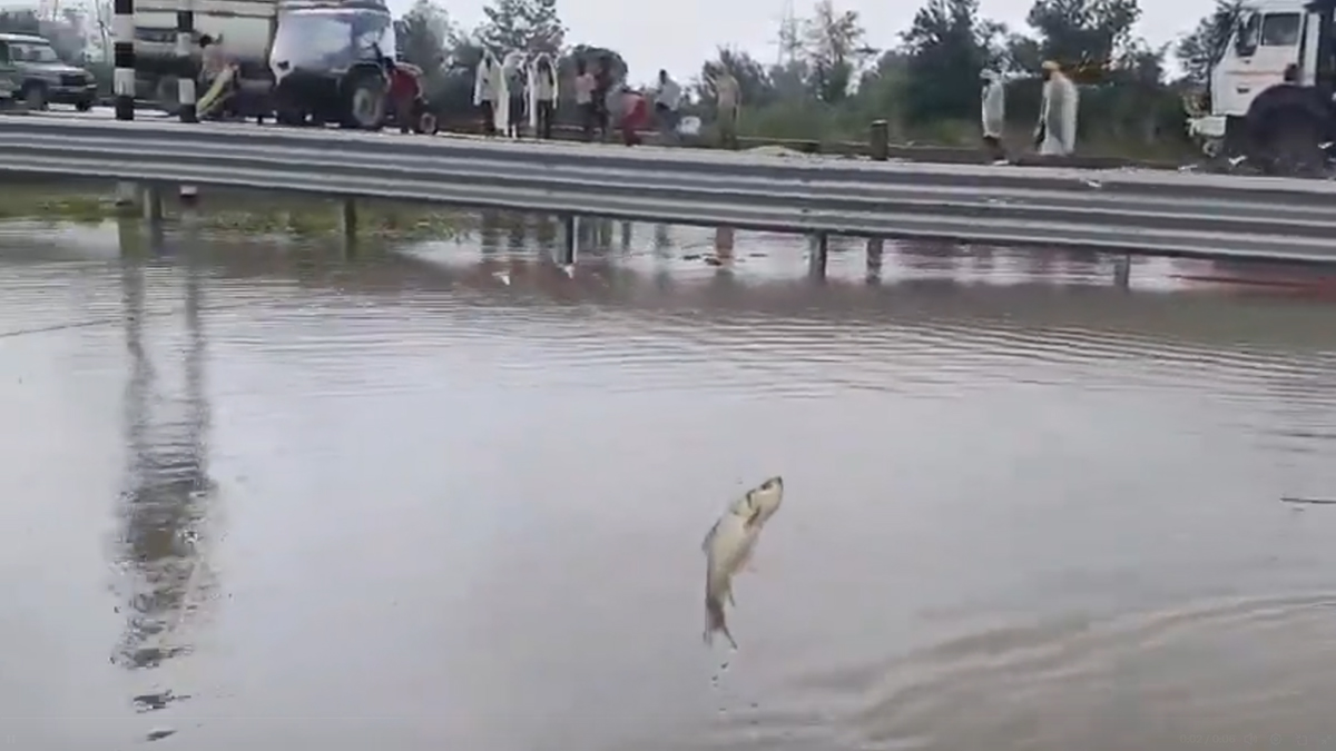 Ganga Expressway Turns Into ‘Pond’ in UP’s Unnao, Man ‘Catches Fish’ (Video)