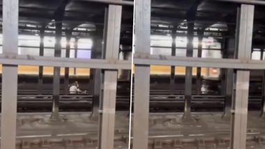 New York Subway Accident Video: Indian-Origin Woman Malaika Chitre, Nepali-American Friend Navam Kaul Killed by Train