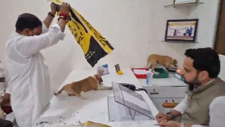 Nashik Dog Menace Protest Video: Yuva Sena&rsquo;s Vikram Randhave Releases Strays Inside Niphad Nagar Panchayat Office