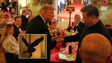 Why Did Donald Trump Gift Xi Jinping a 3-Foot Bald Eagle Statue? Here&rsquo;s What It Symbolises