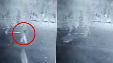 Gujarat Leopard Attack Video: 6-Year-Old Girl Mauled to Death at Farm, 8 Cages Set