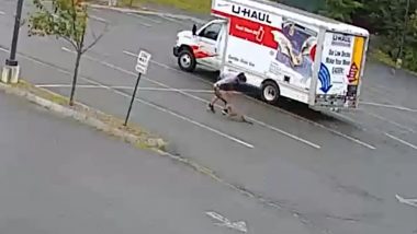 Fisher or Gray Fox? &lsquo;Unusually Aggressive&rsquo; Wild Animal Attacks 3 People in New Hampshire (Video)