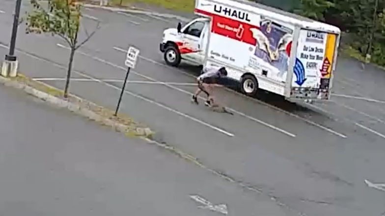 Fisher or Gray Fox? &lsquo;Unusually Aggressive&rsquo; Wild Animal Attacks 3 People in New Hampshire (Video)