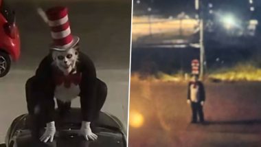 What Is the Viral &lsquo;Cat in the Hat&rsquo; Trend? Inside the Latest Social Media Hoax