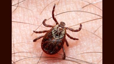 New Tick-Borne Virus ALTNV Identified in Hubei, the Chinese Province Where COVID-19 Emerged