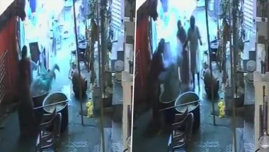 Woman Dies After Accidentally Falling Into Hot Sambar During Vijayawada Ganesh Utsav (Video)