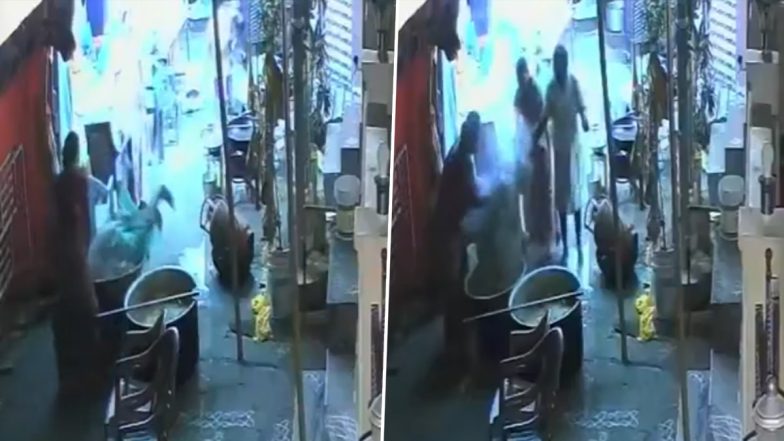 Woman Dies After Accidentally Falling Into Hot Sambar During Vijayawada Ganesh Utsav (Video)