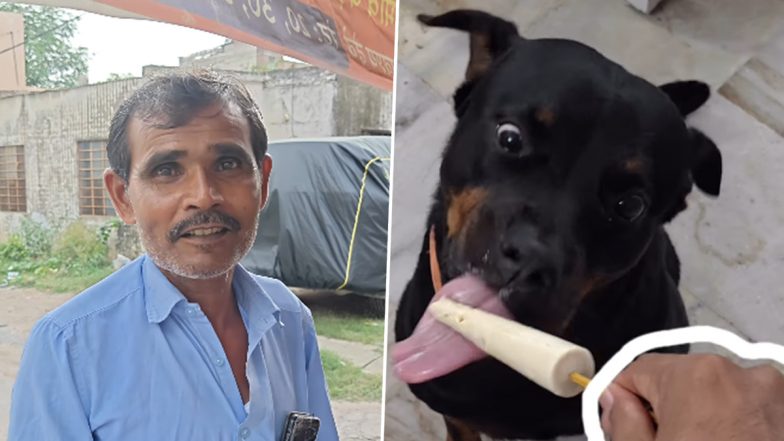 Dogs Get Their Own Kulfi! Jaipur Vendor&rsquo;s Sugar-Free Treat Goes Viral (Video)