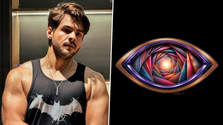 &lsquo;Bigg Boss 20&rsquo;: Ashish Chanchlani To Join Salman Khan&rsquo;s Reality Show? YouTuber Reacts to Viral Speculations