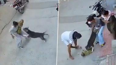 Sonipat Pitbull Attack Video: 6-Month-Old Baby Dragged by Dog, Aunt Also Injured