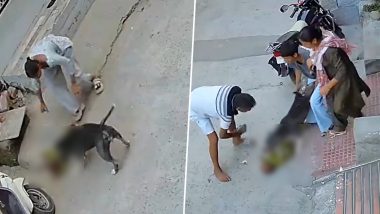 Sonipat Pit Bull Attack: 6-Month-Old Baby Mauled by Dog, Shocking Video Shows Infant Dragged On Road
