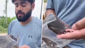 Fake Instagram Phone Deal? Noida Man Pays INR 1,999 Online, Finds Cow Dung in Sealed Parcel.