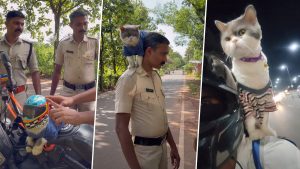 Viral Video: Kerala Man Makes Tiny Helmet for Pet Cat, Cops Stunned by Adorable 2-Wheeler Ride.