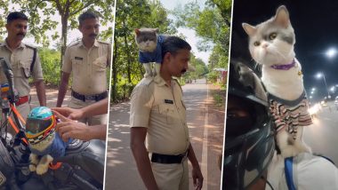 Viral Video: Kerala Man Makes Tiny Helmet for Pet Cat, Cops Stunned by Adorable 2-Wheeler Ride