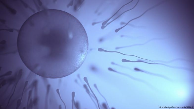 Male Infertility: 'Grossly Underreported' and Misunderstood