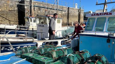 Inside the Slippery World of Eel Smuggling