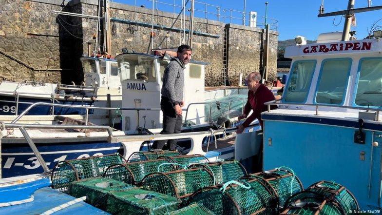 Inside the Slippery World of Eel Smuggling