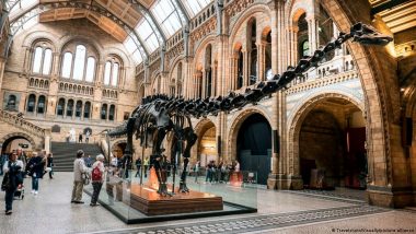 Spanish Scientists Find First Signs of Diplodocus in Europe
