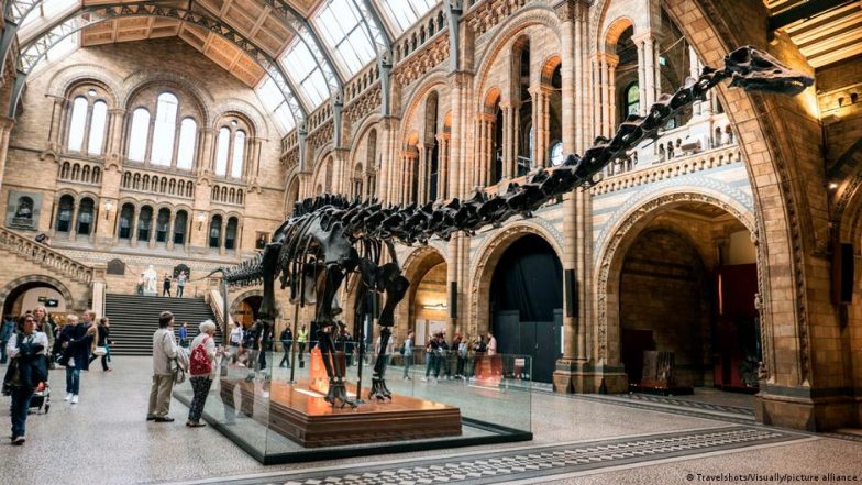 Spanish Scientists Find First Signs of Diplodocus in Europe