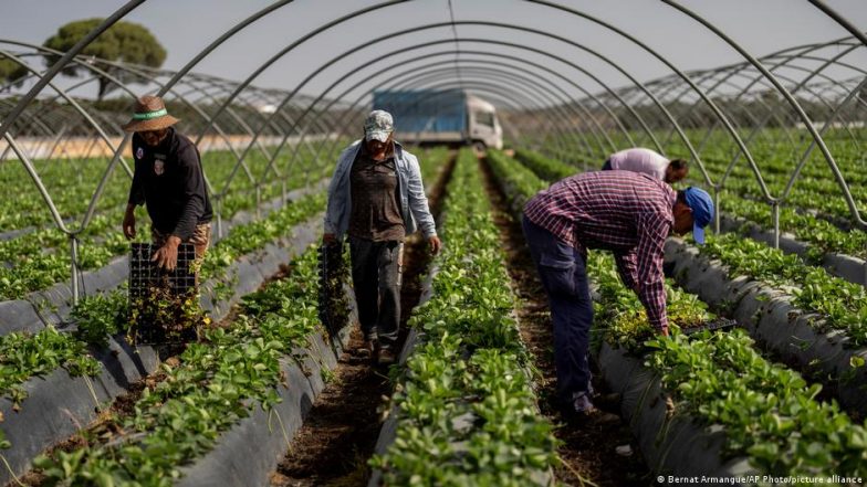 Spain, Europe's Greenhouse, is Running out of Water