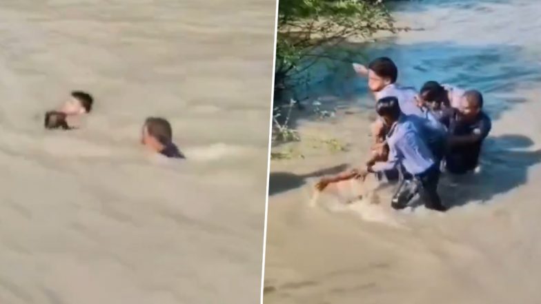 Maharajganj: 2 Students Save Woman From Drowning in Uttar Pradesh Canal (Video)