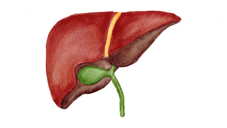 Business News | Zydus Hospital, Ahmedabad Crosses 300 Liver Transplants - Highest in Gujarat