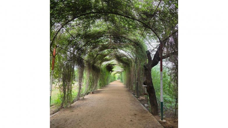 Business News | Sikar's Smriti Van Gets 685.393-metre Green Pergola Walkway