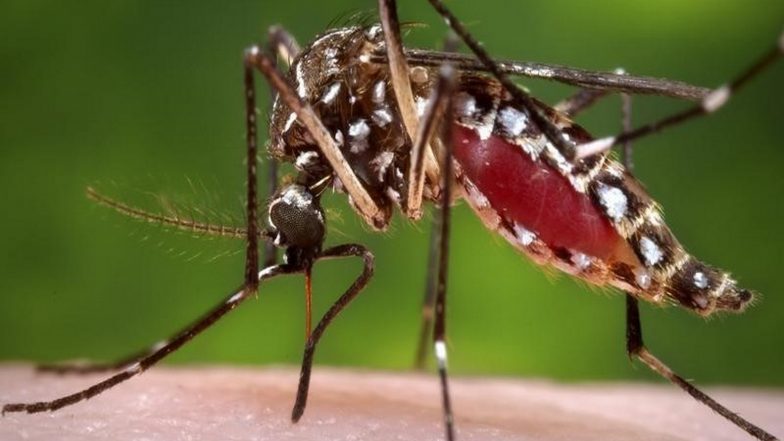 India News | Andhra Health Dept Probes 7-year-old Girl's Death After Malaria Prevention Drive