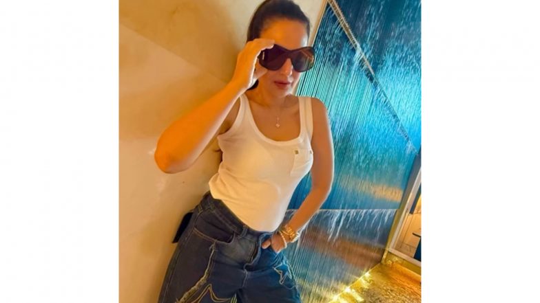 Entertainment News | “Surely You Don’t Have a Girl”: Ameesha Patel Hits Back at Netizen Linking Her to Hardik Pandya