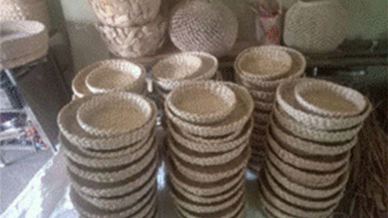 India News | From Beekeeping to Vetiver Agarbathi: Khadi and Village Industries Commission Provides Training, Financial Support to Rural MSMEs