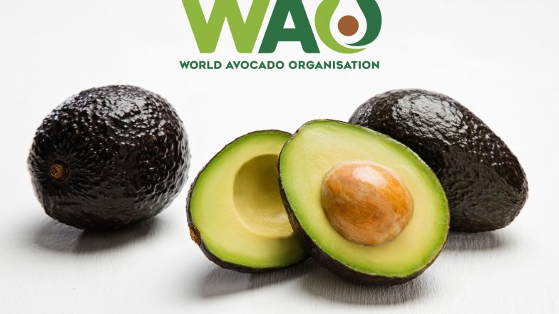Business News | World Avocado Organisation Highlights Avocado’s Role in Post-Monsoon Wellness as India Enters the Festive Season