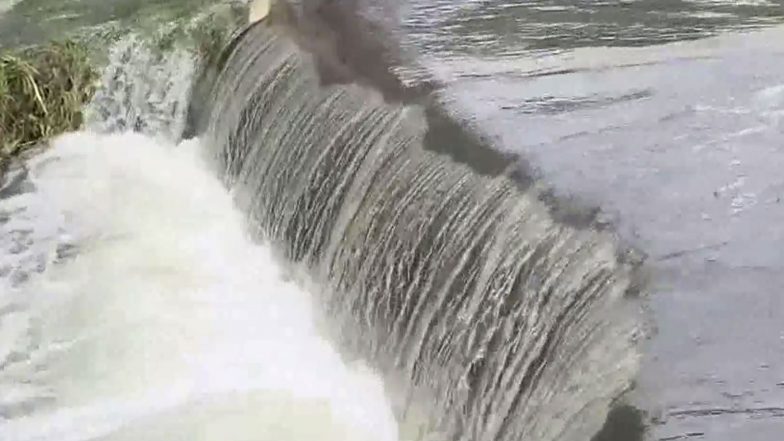 India News | Kosi River Pressure Breaches Railway Line Embankment in Navgachia