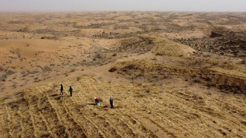 World News | China Businesses Face New Land Charges Ahead of Farmland Law