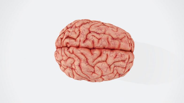 Health News | Brain Activity Can Predict Risky Decisions Before They Happen: Study
